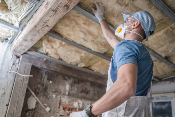 Types of Insulation We Offer in Twentynine Palms, CA